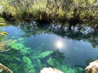 IMG_1533 en tamaño grande